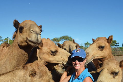 Broome Pre-sunset Camel Tour 30 Minutes - Pubs Perth 0