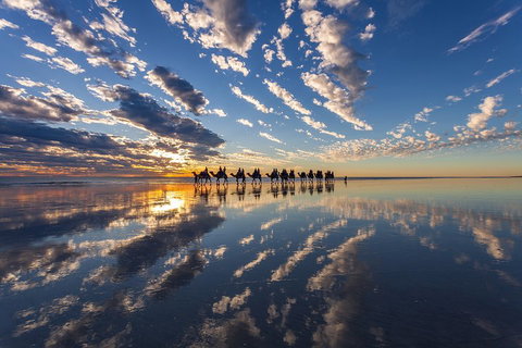 Broome Pre-sunset Camel Tour 30 Minutes - Pubs Perth 4