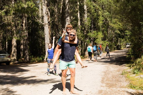 7-Day Best Of Tasmania Adventure Experience From Hobart (flexible Ticket) - Pubs Perth 5