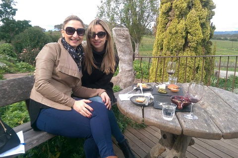 McLaren Vale Intimate Winery Tour By Private Limo - Pubs Perth 4
