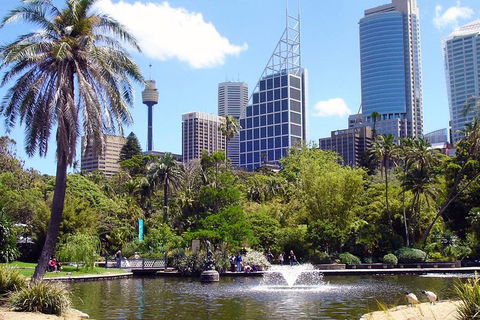 Private Sydney Half Day Tour Including Sydney Opera House And Bondi Beach - Pubs Perth 4