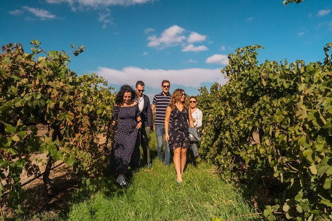 Barossa Valley Private Tour (from 2 To 11 People) - Pubs Perth 0