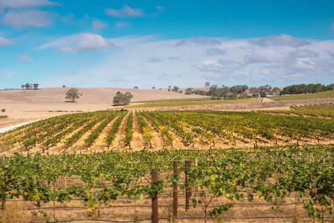 Barossa Valley Private Tour (from 2 To 11 People) - Pubs Perth 2