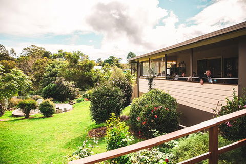 Full-day Springbrook National Park Tour From The Gold Coast - Pubs Perth 2