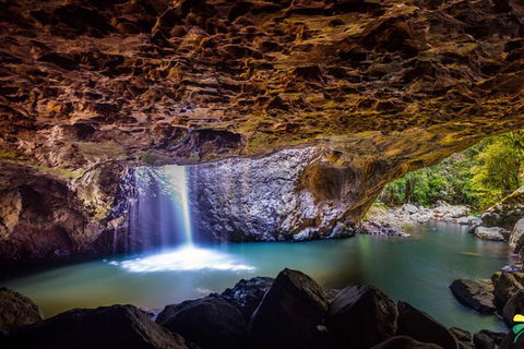 Full-day Springbrook National Park Tour From The Gold Coast - Pubs Perth 3
