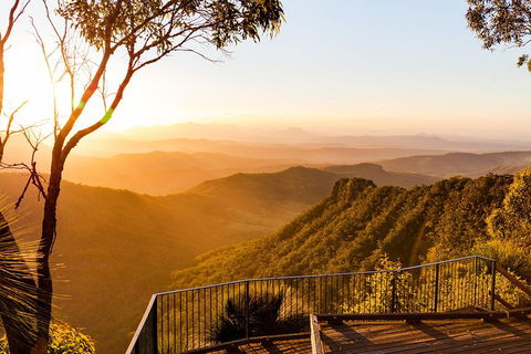 O'Reilly's & Lamington National Park Incl. Alpaca Farm + Vineyard - Pubs Perth 0