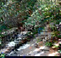 Fraser Island 4WD Tour from Rainbow Beach - Pubs Perth