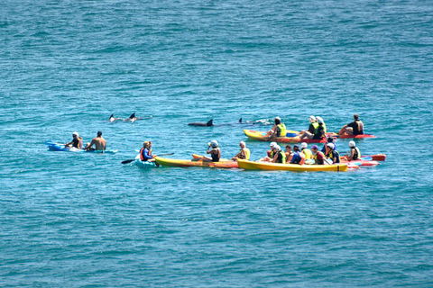 The Byron Bay Sea Kayak Tour - Pubs Perth 1