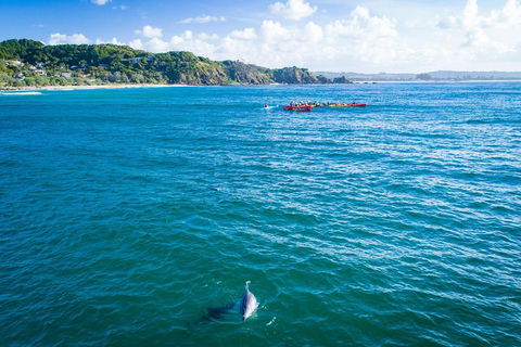 The Byron Bay Sea Kayak Tour - Pubs Perth 2