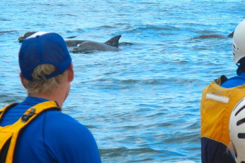 The Byron Bay Sea Kayak Tour - Pubs Perth 4