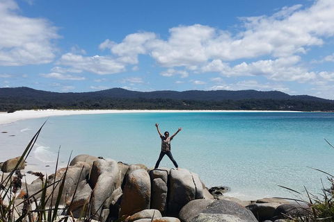 Tasmania 4 Day East Coast + Launceston - Pubs Perth 1
