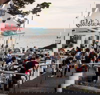 Phillip Island and French Island Wildlife Expedition - Pubs Perth