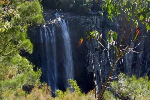 Byron Bay Hinterland Tour Including Rainforest Walk To Minyon Falls - Pubs Perth 0