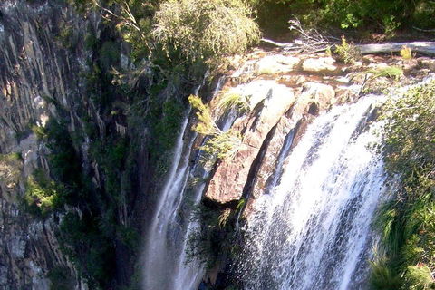 Byron Bay Combo: Hinterland Tour Including Minyon Falls And Kayaking With Dolphins - Pubs Perth 3
