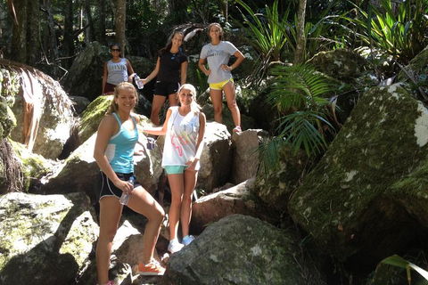 Byron Bay Combo: Hinterland Tour Including Minyon Falls And Kayaking With Dolphins - Pubs Perth 4