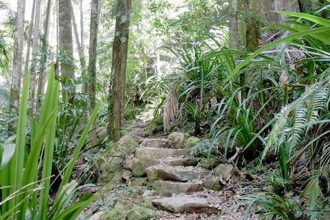Byron Bay Combo: Hinterland Tour Including Minyon Falls And Kayaking With Dolphins - Pubs Perth 5