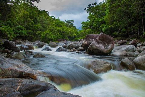 Cape Tribulation Day Tour - Pubs Perth 0