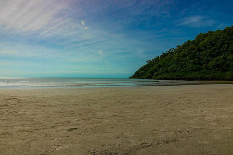 Cape Tribulation Day Tour - Pubs Perth 2