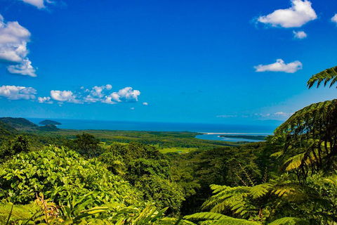 Cape Tribulation Day Tour - Pubs Perth 3