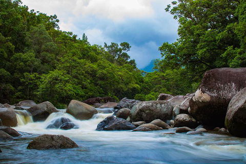 Cape Tribulation Day Tour - Pubs Perth 4