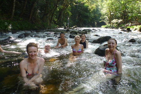 Daintree Rainforest, Cape Tribulation, Mossman Gorge Small-Group Day Tour - Pubs Perth 0