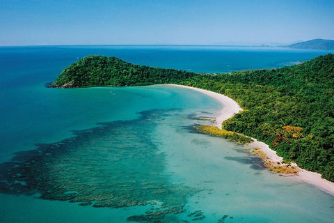 Daintree Rainforest, Cape Tribulation, Mossman Gorge Small-Group Day Tour - Pubs Perth 4