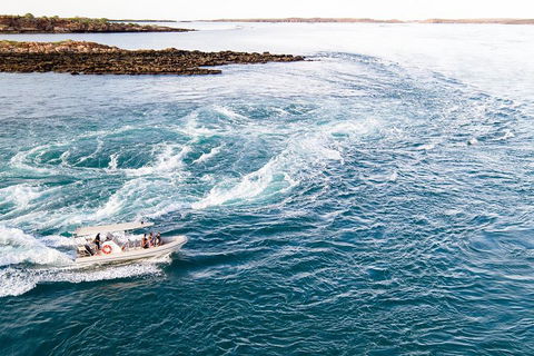 Giant Tides Tour - Cygnet Bay Pearl Farm - Pubs Perth 4
