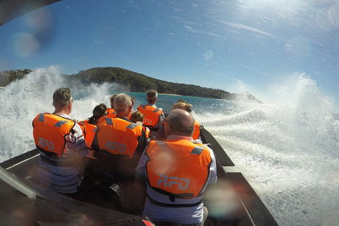 Noosa Thriller - 500hp Ocean Adventure Ride - Pubs Perth 3