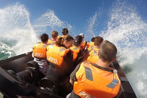 Noosa Thriller - 500hp Ocean Adventure Ride - Pubs Perth 4