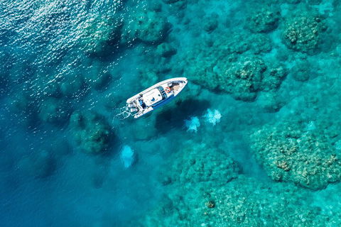 Premium Private Charter - Pubs Perth 0