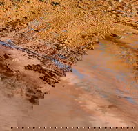 Scenic Flight Lizard Safari - Pubs Perth