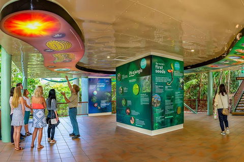 Skyrail & Kuranda Train Day Trip From Cairns - Pubs Perth 0