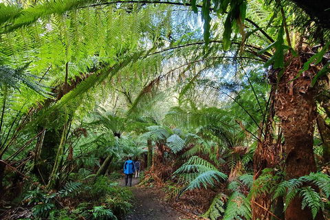 3-Day Adelaide To Melbourne Tour Including The Great Ocean Road - Pubs Perth 2