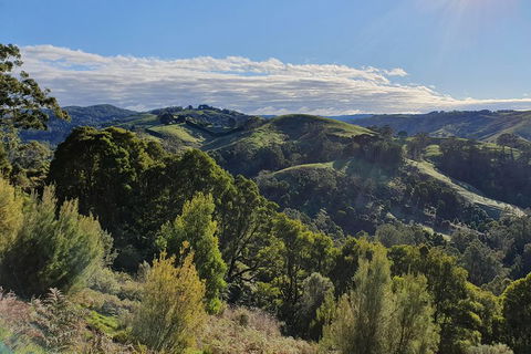 3-Day Adelaide To Melbourne Tour Including The Great Ocean Road - Pubs Perth 5