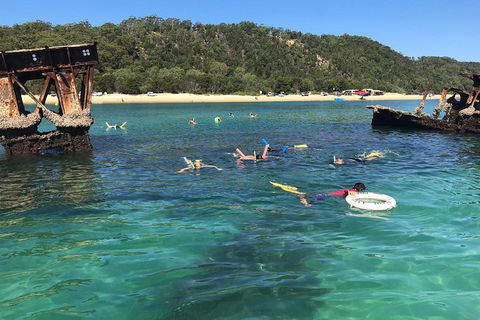 All Inclusive Dolphin And Tangalooma Wrecks Cruise - Pubs Perth 0