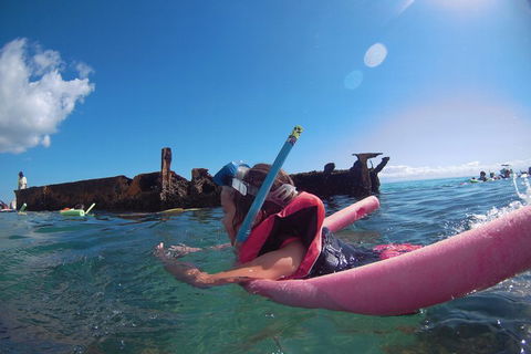 All Inclusive Dolphin And Tangalooma Wrecks Cruise - Pubs Perth 2