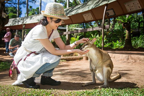 Kuranda Day Tour, TKS-RFS GRAND GOLD PLUS 0930 - Pubs Perth 3