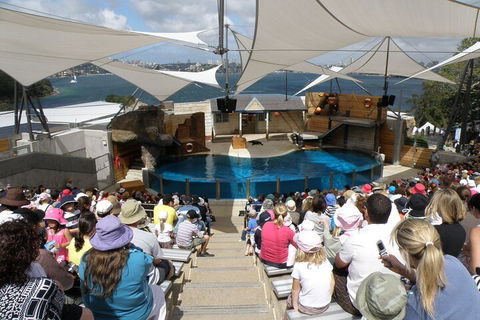 Sydney Taronga Zoo General Entry Ticket - Pubs Perth 5