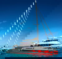 Passions of Paradise Great Barrier Reef Snorkel and Dive Cruise from Cairns by Luxury Catamaran - Pubs Perth