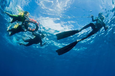 Passions Of Paradise Great Barrier Reef Snorkel And Dive Cruise From Cairns By Luxury Catamaran - Pubs Perth 2