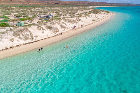 Ningaloo In A Day - Full Day Hike And Snorkel Tour With Lunch - Pubs Perth 0