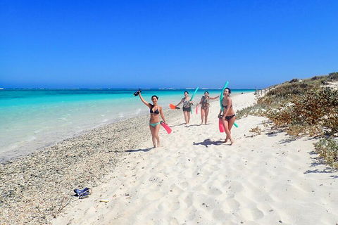 Ningaloo In A Day - Full Day Hike And Snorkel Tour With Lunch - Pubs Perth 1