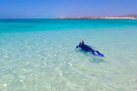 Ningaloo In A Day - Full Day Hike And Snorkel Tour With Lunch - Pubs Perth 4