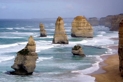 LGBT+ Friendly 2 Day Private Tour Great Ocean Road + Phillip Island - Pubs Perth 0