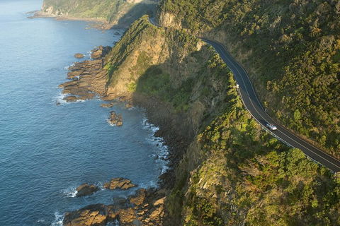 LGBT+ Friendly 2 Day Private Tour Great Ocean Road + Phillip Island - Pubs Perth 4