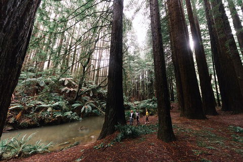 LGBT+ Friendly 3 Day Private Tour Great Ocean Road & Phillip Island - Pubs Perth 2