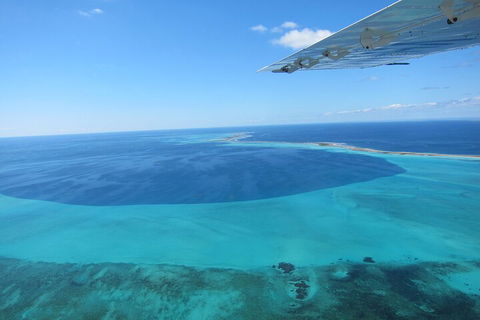 Shipwreck Special Full Day Tour Of The Abrolhos Islands - Pubs Perth 2