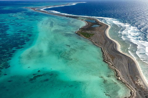 Shipwreck Special Full Day Tour Of The Abrolhos Islands - Pubs Perth 3