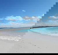 Shipwreck Special Nature Tour/Half Day Tour - Pubs Perth