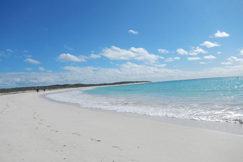 Shipwreck Special Nature Tour/Half Day Tour - Pubs Perth 0